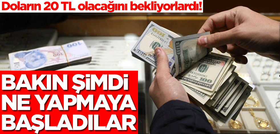 Doların 20 TL olacağını bekliyorlardı! Bakın şimdi ne yapmaya başladılar