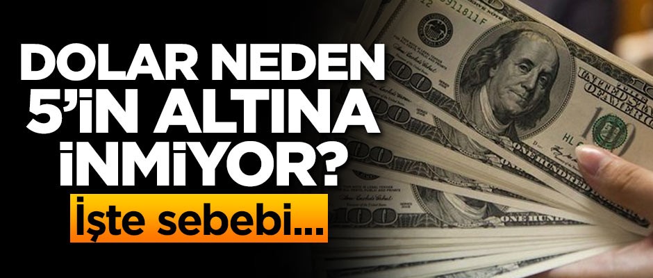Doların 5 TL'nin altına inmemesinin sebebi ortaya çıktı