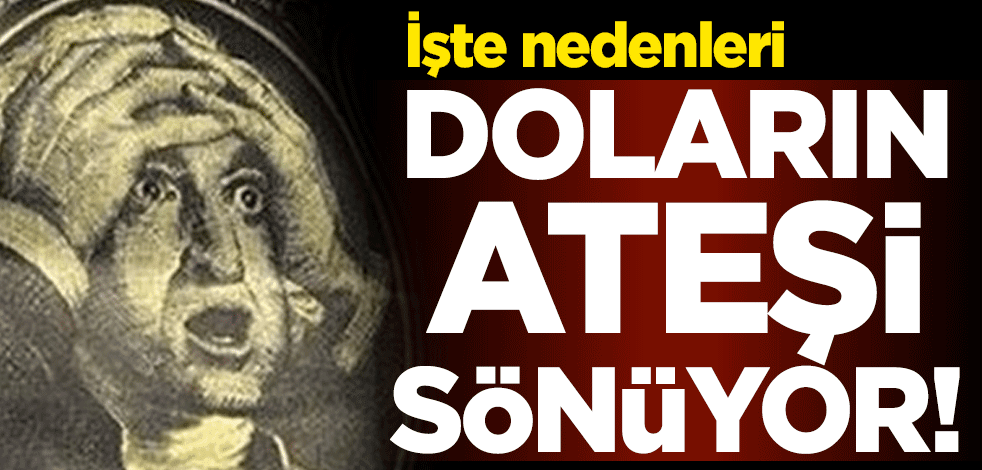 Doların ateşi sönüyor! İşte nedenleri