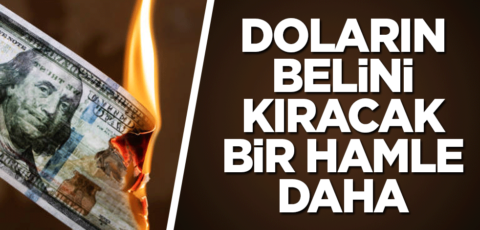 Doların belini kıracak bir hamle daha