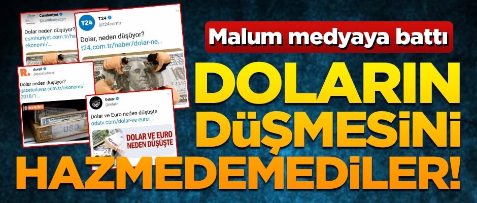 Doların düşmesini hazmedemediler!