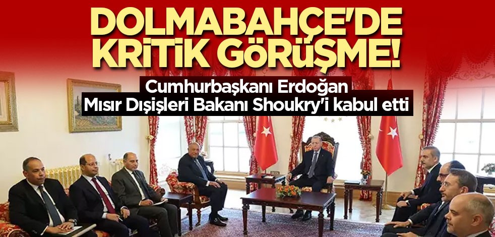 Dolmabahçe'de kritik görüşme! Cumhurbaşkanı Erdoğan Mısır Dışişleri Bakanı Shoukry'i kabul etti