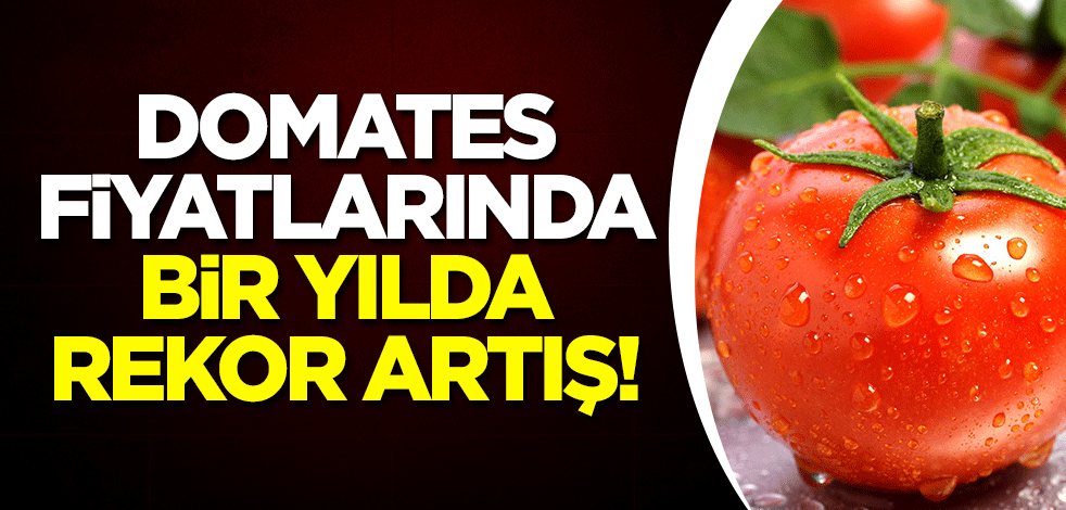 Domates fiyatlarında bir yılda rekor artış!