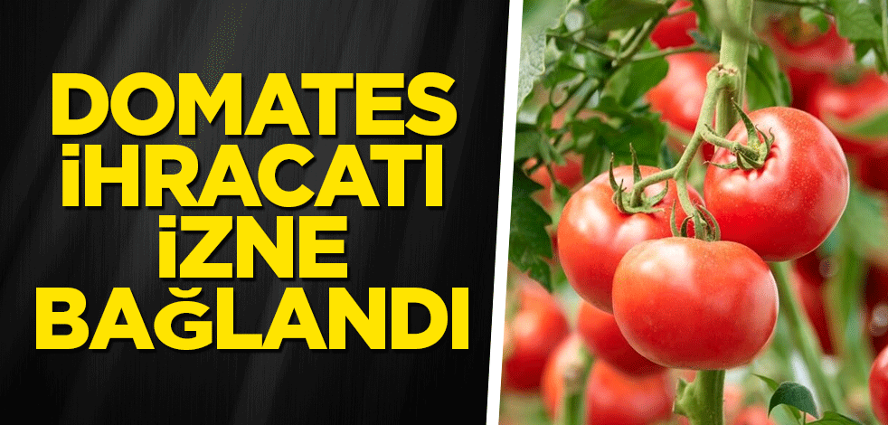 Domates ihracatı izne bağlandı