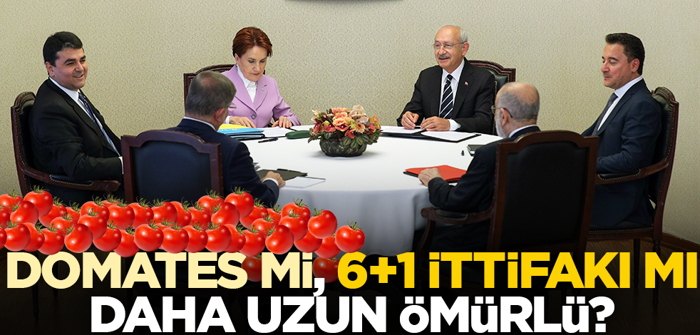 Domates mi, 6+1 ittifakı mı daha uzun ömürlü?