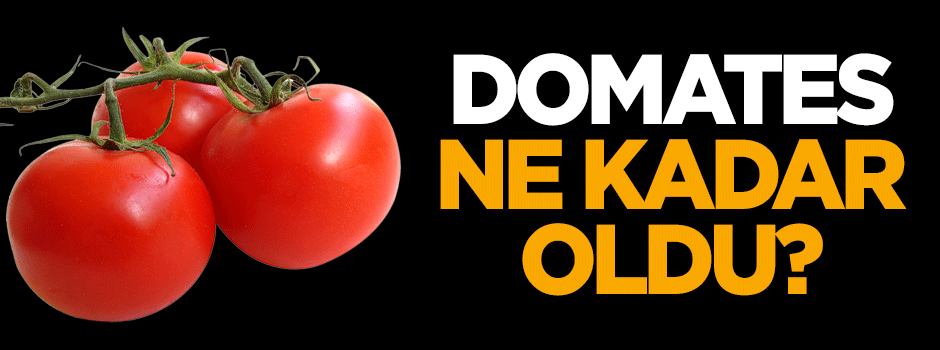 Domates ne kadar oldu?