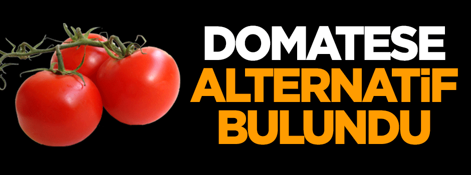 Domatese alternatif bulundu