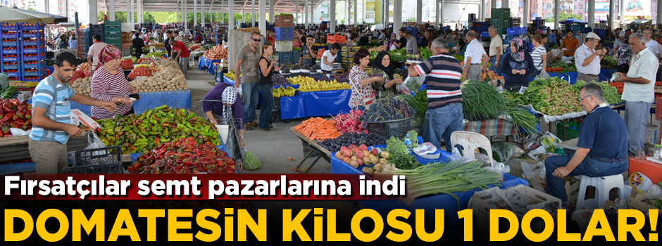 Domatesin kilosu 1 dolar! Fırsatçılar semt pazarlarına indi