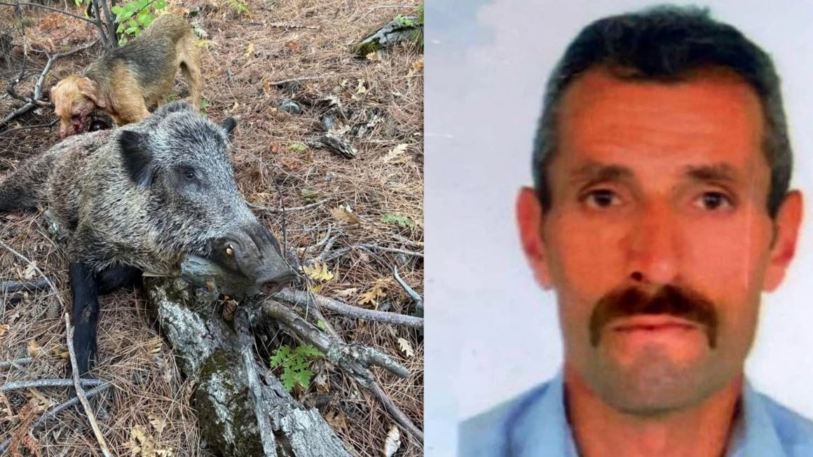 Domuz avına gitti domuz saldırısında öldü