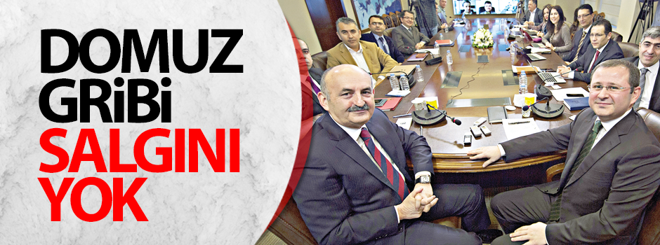 Domuz gribi salgını yok