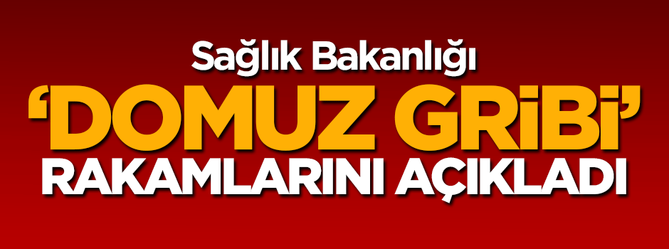 Domuz gribi verileri açıklandı