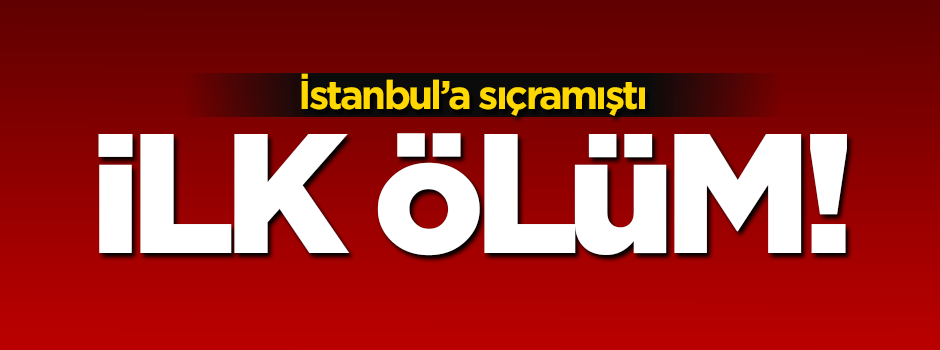 Domuz gribinden İstanbul'da ilk ölüm!