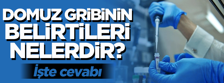 Domuz gribinin belirtileri neler, nasıl korunabiliriz?