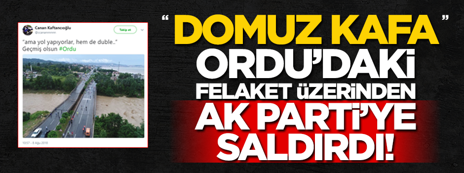 "Domuz kafa" Ordu’daki felaket üzerinden AK Parti’ye saldırdı!