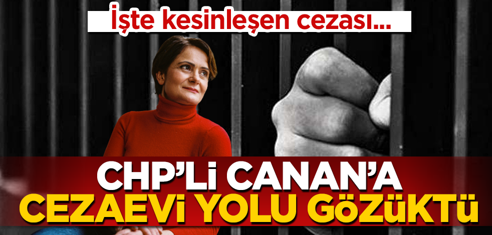 "Domuzcu" CHP’li Canan’a cezaevi yolu gözüktü!
