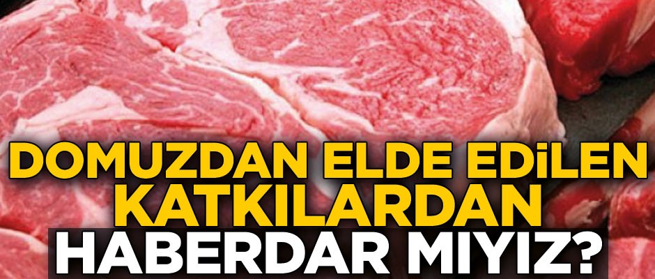 Domuzdan elde edilen katkılardan haberdar mıyız?
