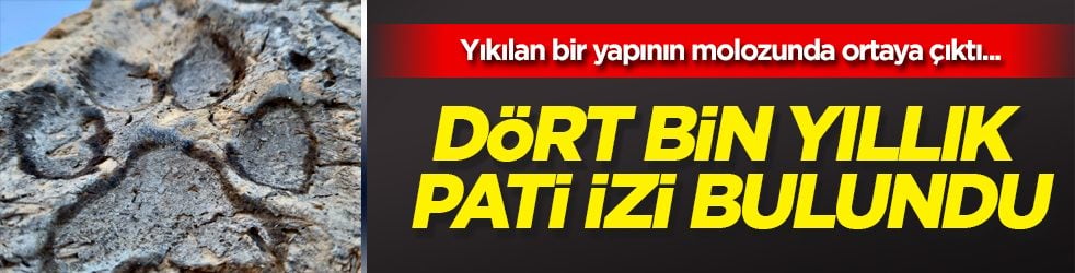O ilimizde dört bin yıllık pati izi bulundu... 