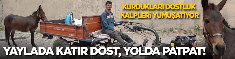 Dostlukları kalpleri yumuşatıyor! Yaylada katır Dost, yolda patpat!