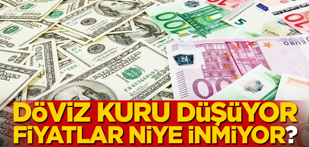Döviz kuru düşüyor fiyatlar niye inmiyor?