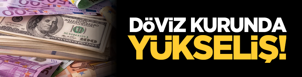 Döviz kurunda yükseliş!