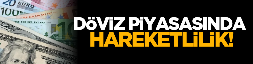Döviz piyasasında hareketlilik!