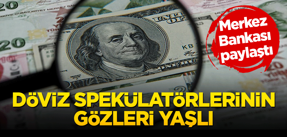 Döviz spekülatörleri umduğunu bulamadı