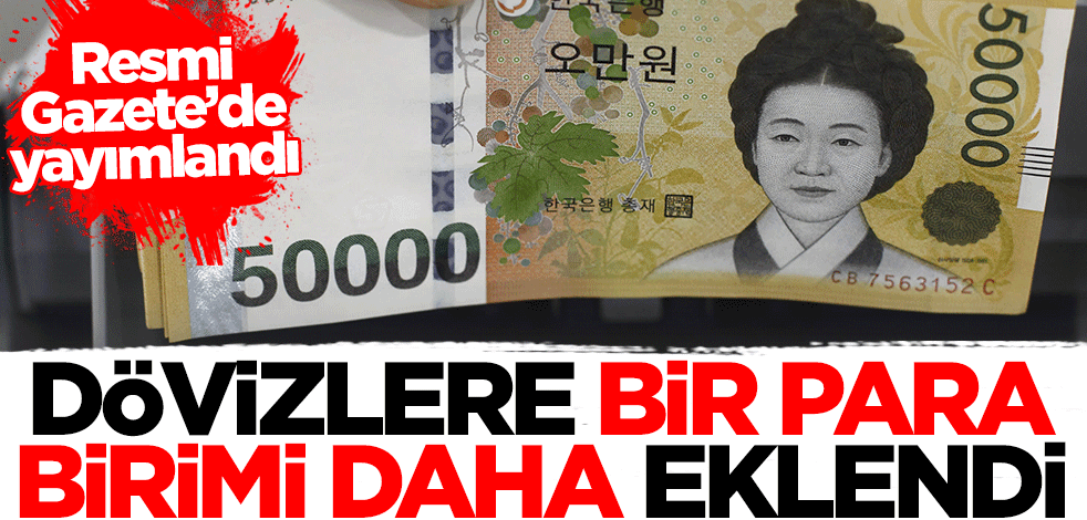 Dövizlere Güney Kore Wonu da eklendi! Resmi Gazete'de yayımlandı