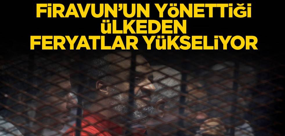 Dr. Ossama Yassin ve Dr. Mohamed Elbeltagy için insanlığa çağrı