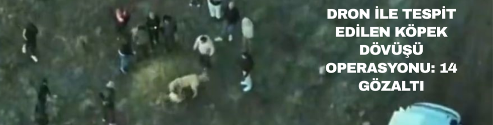 Dron ile Köpek Dövüşü Operasyonu: 14 Gözaltı