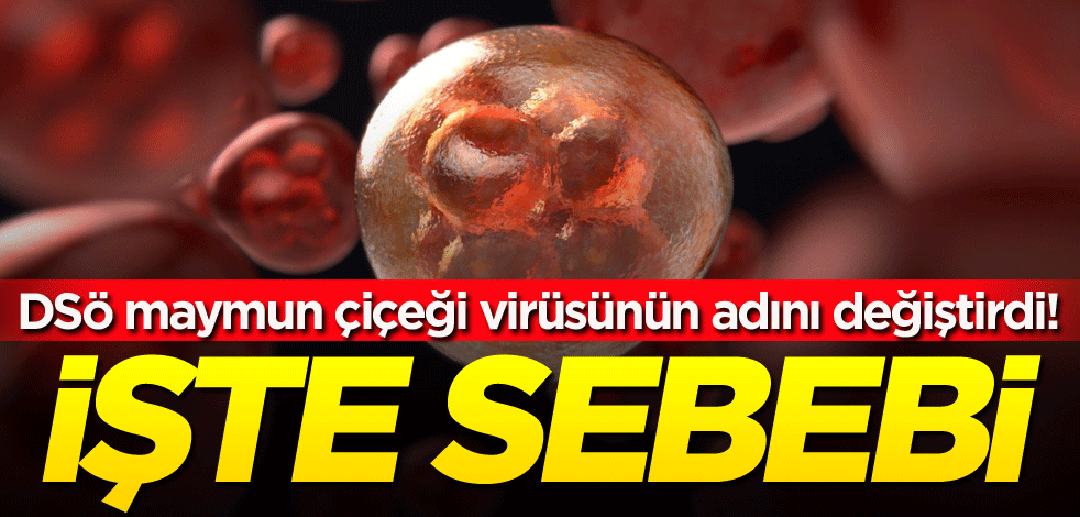 DSÖ maymun çiçeği virüsünün adını değiştirdi! İşte sebebi