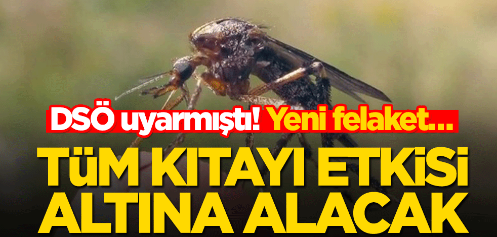 DSÖ uyarmıştı! Yeni felaket… Tüm kıtayı etkisi altına alacak