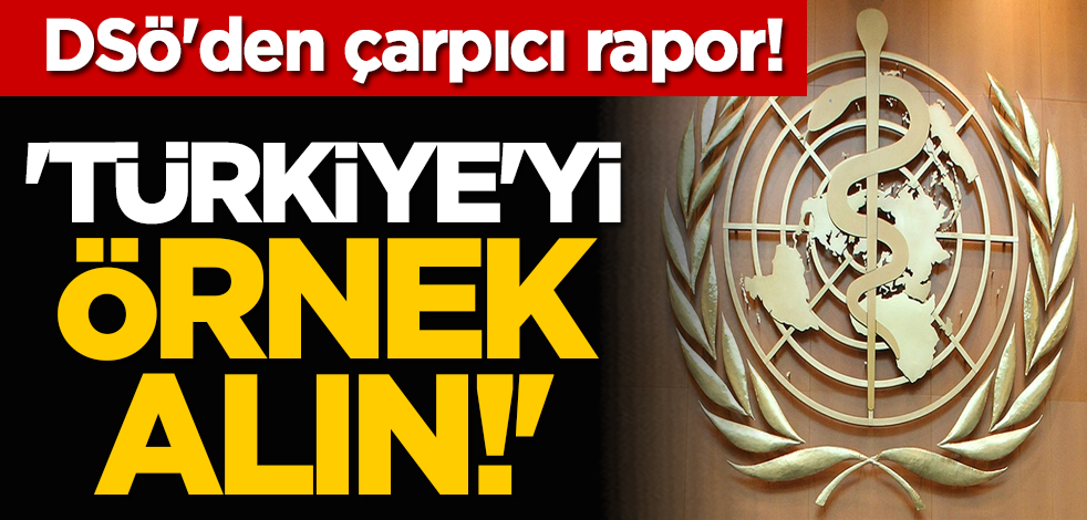 DSÖ'den çarpıcı rapor! 'Türkiye'yi örnek alın!'