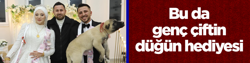Düğünde gelin ve damada takı yerine çoban köpeği hediye edildi