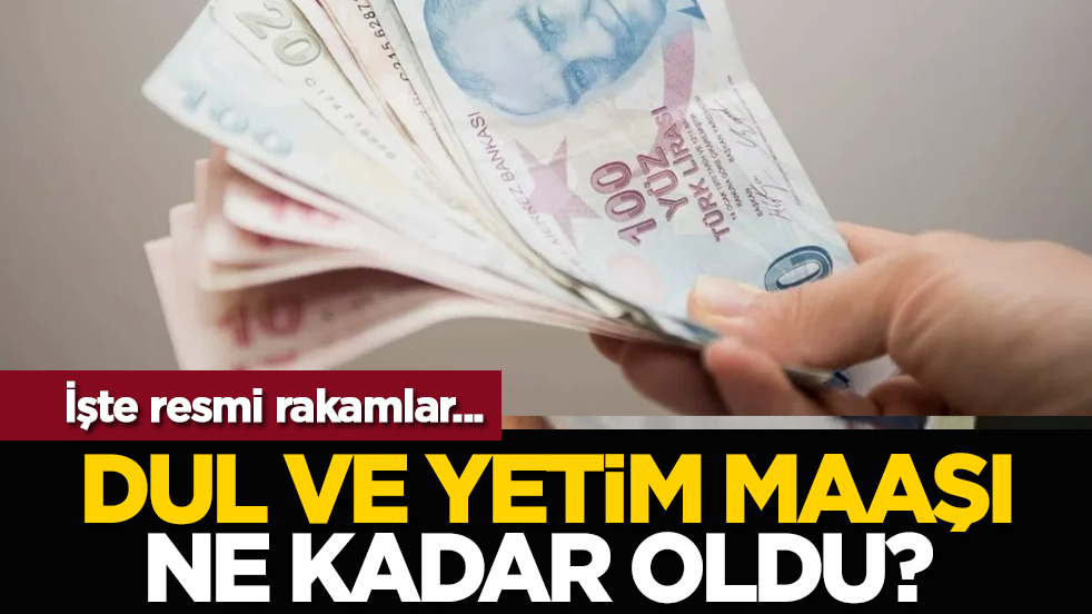Dul ve yetim maaşı ne kadar oldu? İşte resmi rakamlar...