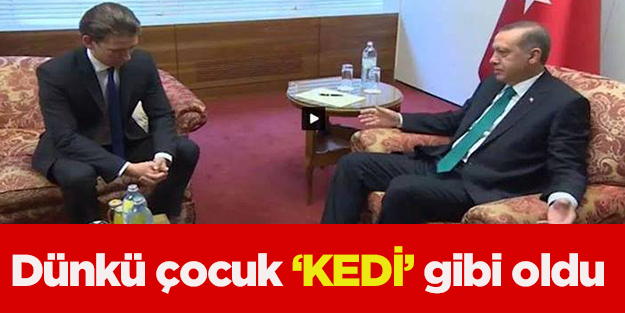 'Dünkü çocuk' Kurz, Erdoğan karşısında kedi gibi oldu