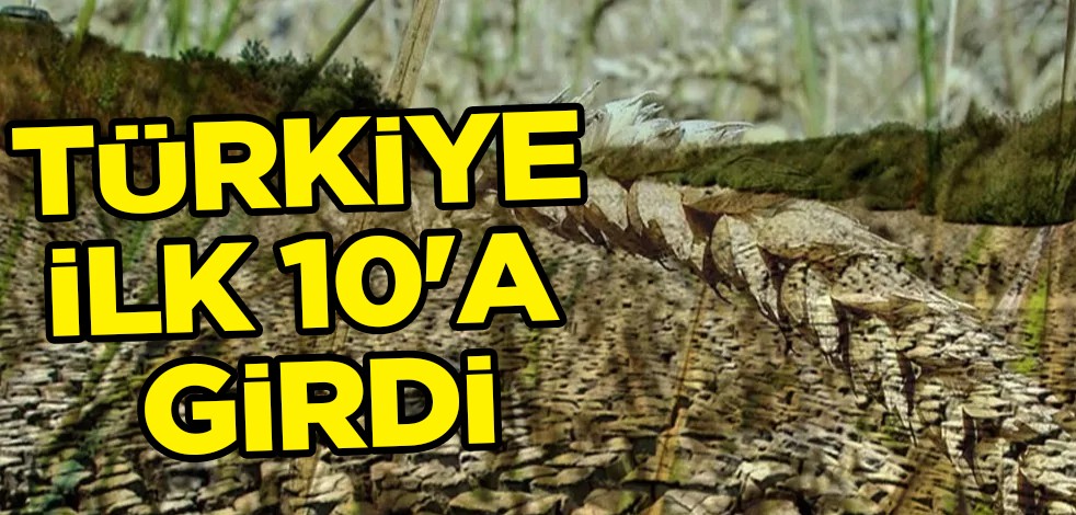 Dünyada çavdar üretimi, ticareti yapılamıyor! Türkiye çavdar üretiminde ilk 10'a girdi