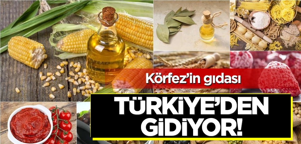 Dünya devi Birleşik Arap Emirlikleri (BAE) dünyaya duyurdu: 40 bölge Türkiye ile çalışmak istiyor! Ülkelere gıda gidiyor