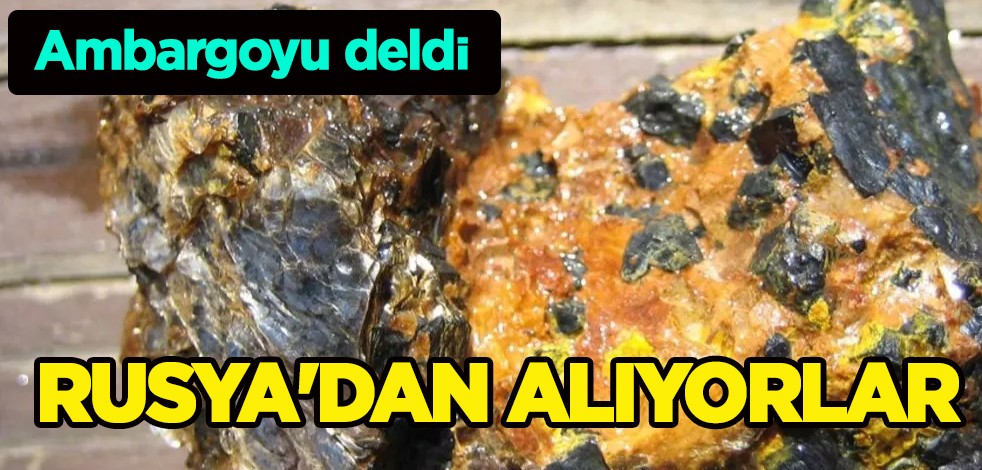 Dünya devi o ülkede: Ambargoyu kendileri deldi! Rusya'dan uranyum alıyorlar
