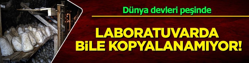 Dünya devleri peşinde ama laboratuvarda bile kopyalanamıyor! Devler kafayı bakın neye taktı