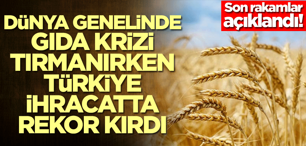 Dünya genelinde gıda krizi tırmanırken Türkiye ihracatta rekor kırdı! Son rakamlar açıklandı