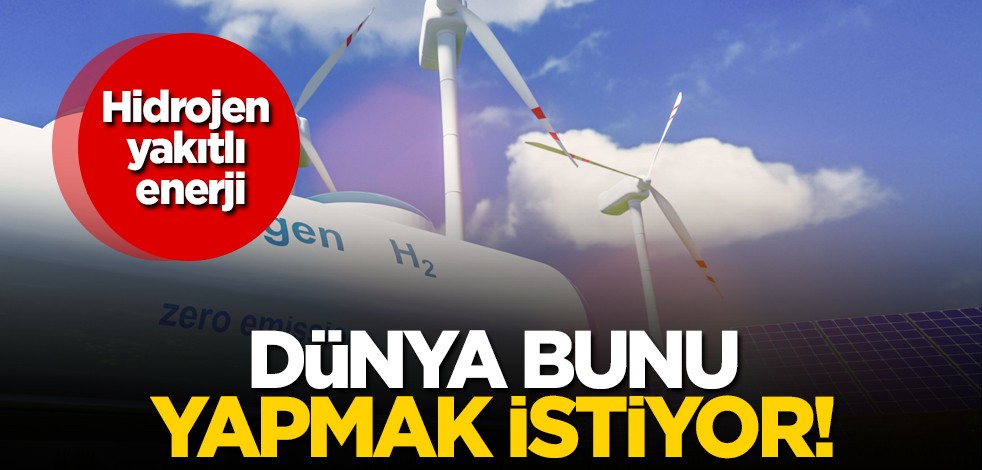 Dünya her an peşinde! Geleceğin yakıtı: Herkes bunu konuşuyor! Türkiye'de hidrojen yakıtlı enerji politikası!