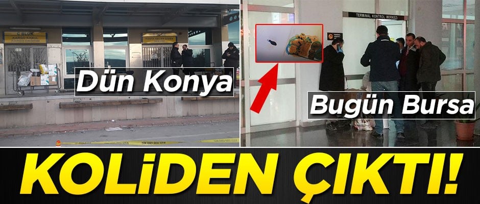 Dün Konya, bugün Bursa! Koliden bomba çıktı