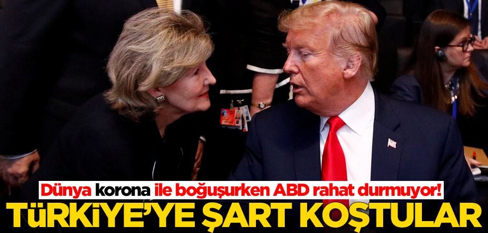 Dünya korona ile boğuşurken ABD rahat durmuyor! Türkiye'ye yardım için şart koştular