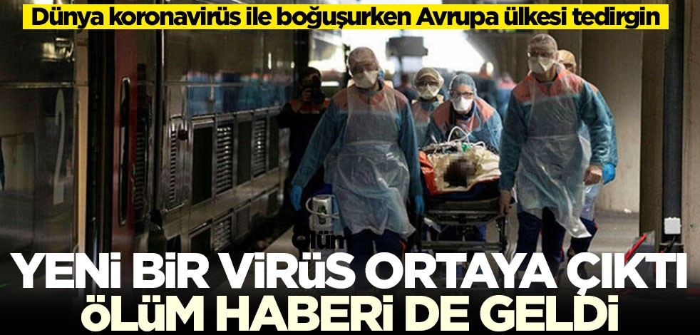 Dünya koronavirüs ile boğuşurken Avrupa ülkesi tedirgin! Yeni bir virüs ortaya çıktı