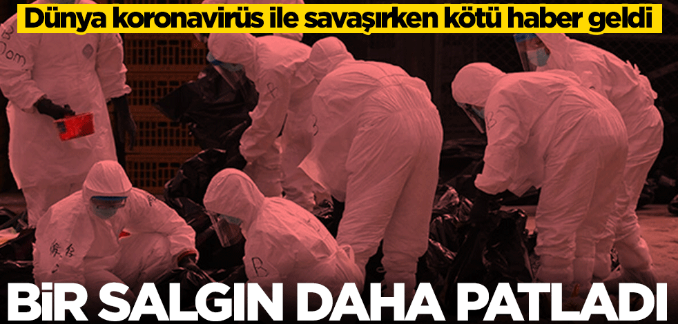 Dünya koronavirüs ile savaşırken kötü haber geldi! Kabus geri döndü