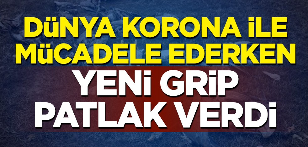 Dünya koronavirüsle mücadele ederken kuş gribi de hızla yayılıyor