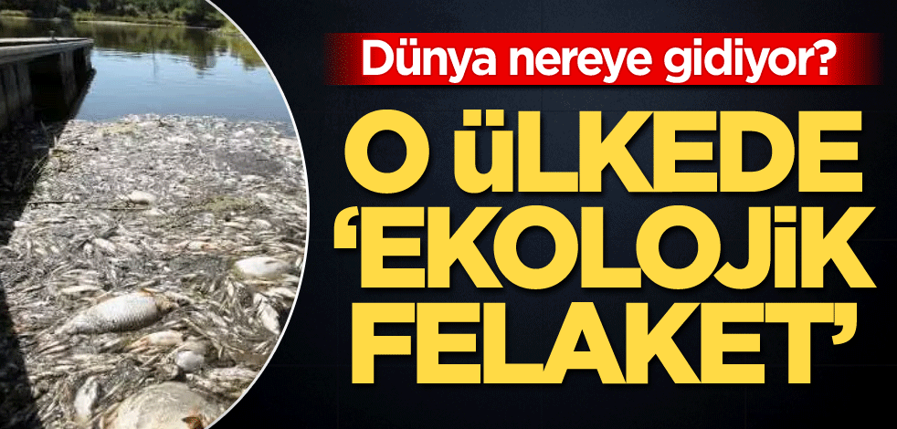 Dünya nereye gidiyor? O ülkede 'ekolojik felaket'