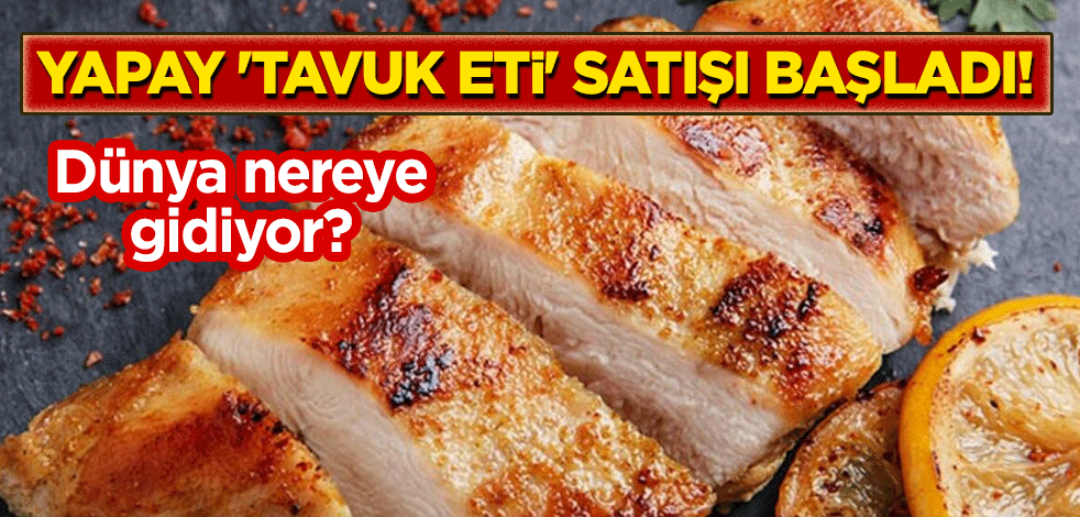 Dünya nereye gidiyor? Yapay 'tavuk eti' satışı başladı!