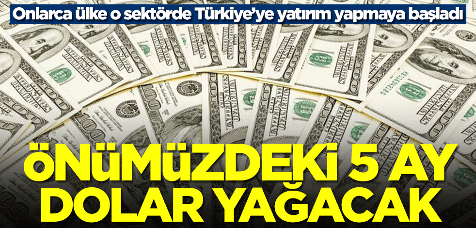 Dünya o sektörde Türkiye'ye yatırım yapmaya başladı! Önümüzdeki 5 ay dolar yağacak