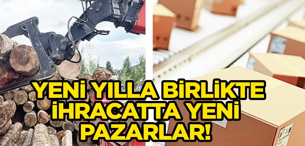 Dünya pazarında Türkiye: Mısır, Fas, BAE gibi dünya devi ülkelere rakip çıktı! Kararı dünyayı sarsacak